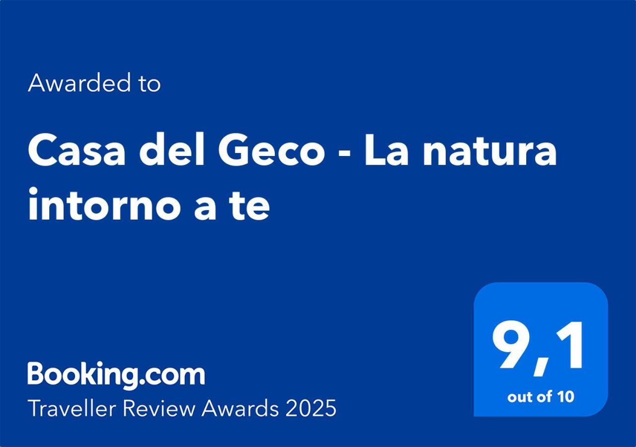 Casa Del Geco - La Natura Intorno A Te カマイオーレ エクステリア 写真